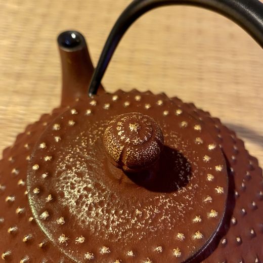 Tetera Japonesa de Hierro – Marrón (Nambu Tetsubin)